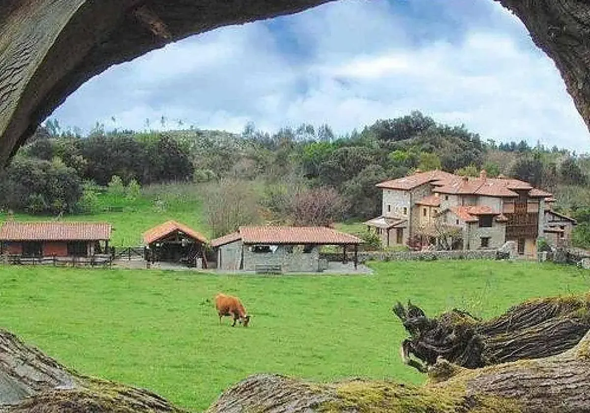 Castilla y León lidera el turismo rural en España, con un notable incremento en pernoctaciones y viajeros.