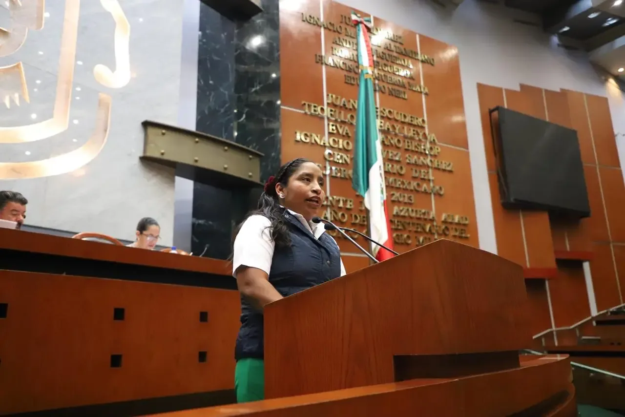 Catalina Apolinar Santiago presenta iniciativas para el reconocimiento de pueblos indígenas.