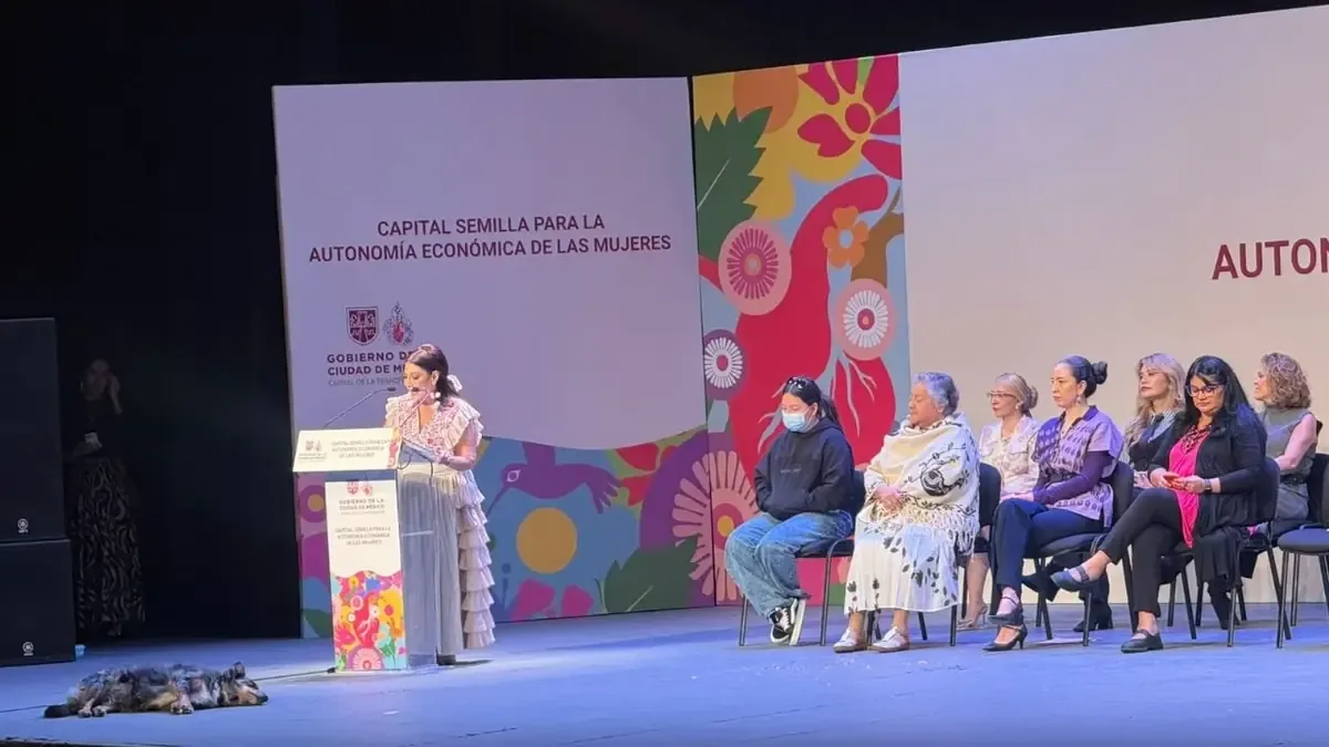 Este programa busca fortalecer negocios y combatir la desigualdad económica de género en la capital.