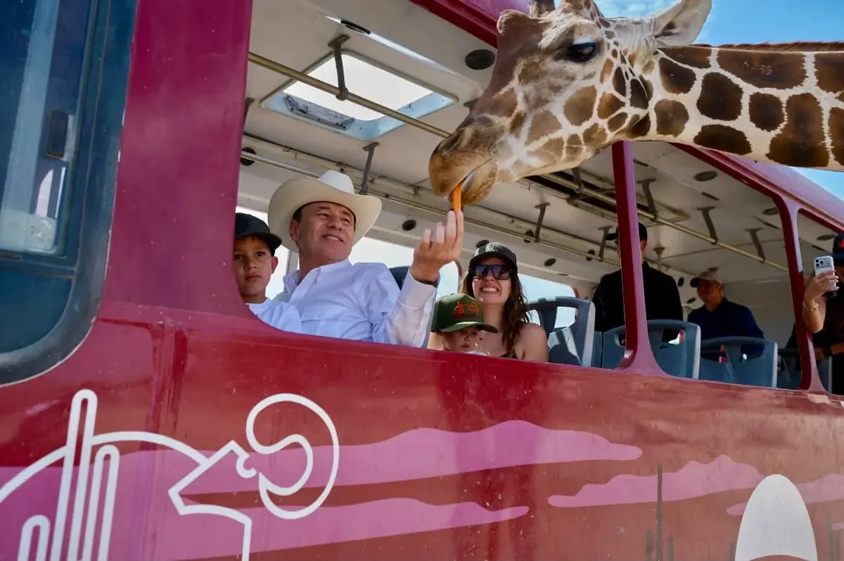 Los nacimientos reflejan programas de conservación y bienestar animal en el estado.