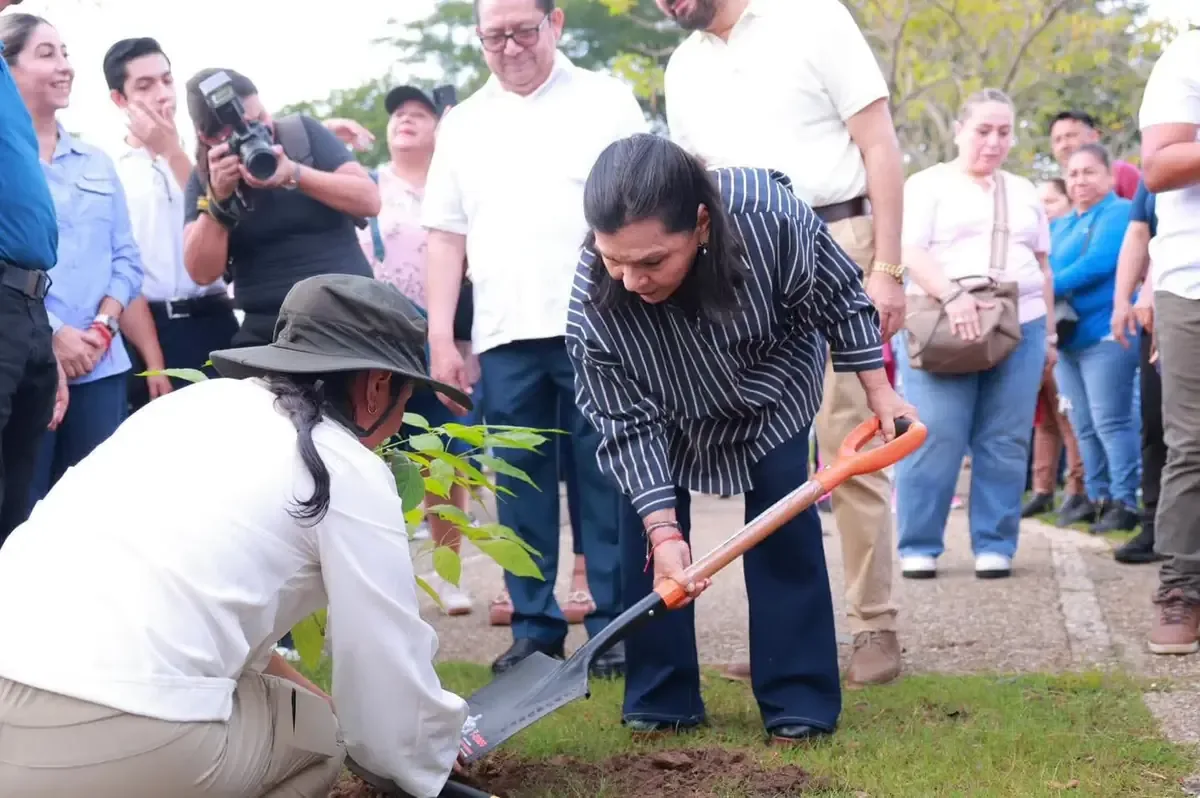 La reforestación busca contribuir a la recuperación forestal en Tabasco y mitigar el cambio climático.