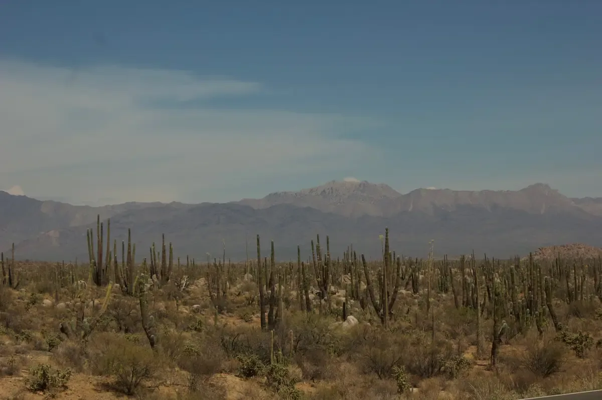 El Gobierno de Sonora alerta por altas temperaturas y posible granizo.