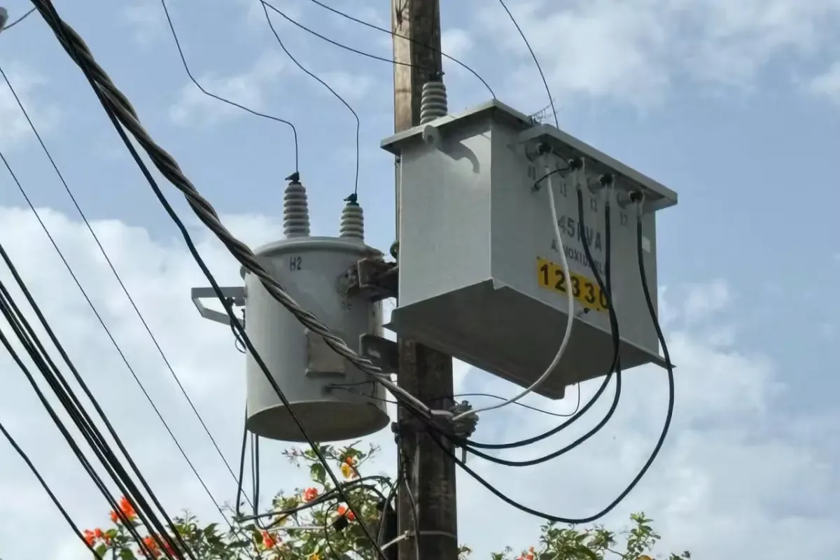 La CFE realiza trabajos de poda y mejora en Yucatán para evitar futuras interrupciones del servicio eléctrico.