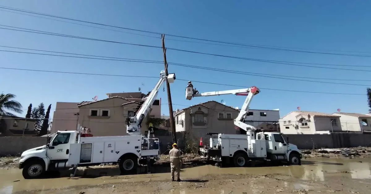 La Comisión Federal de Electricidad enfrenta un aumento en sus costos de venta y una caída en ingresos por combustibles.