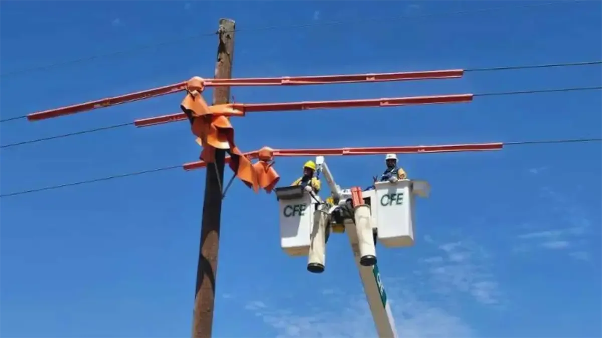 La suspensión busca realizar mantenimiento en la red eléctrica para mejorar el servicio.