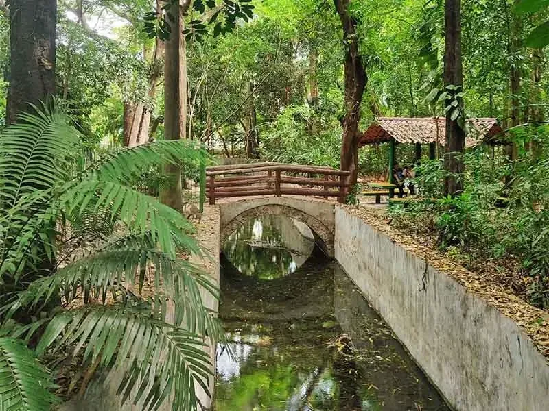 La muestra en el Museo de San Cristóbal de Las Casas destaca el arte y la importancia científica de las plantas en el ecosistema.