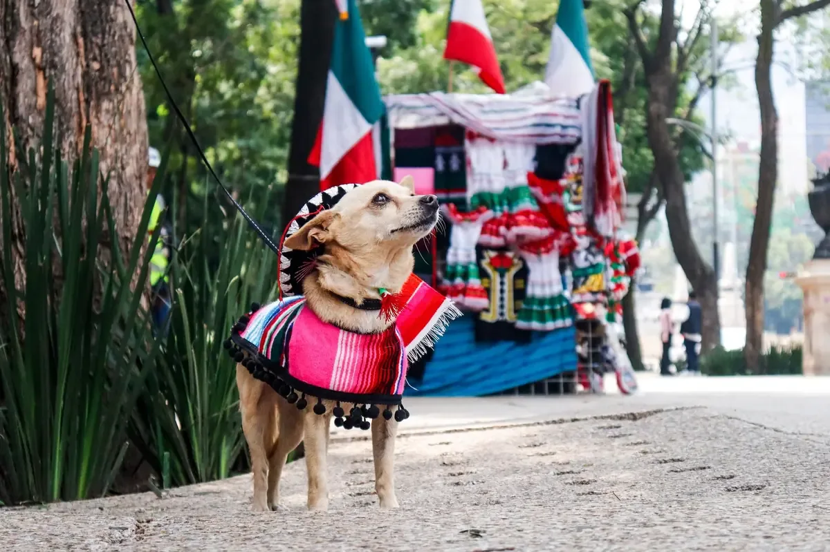 La conmemoración destaca la historia local y la interconexión con la cultura hispana.