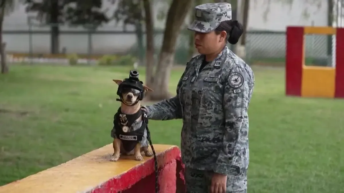 La incorporación de 'Comando' busca mejorar la relación de la Guardia con la comunidad.