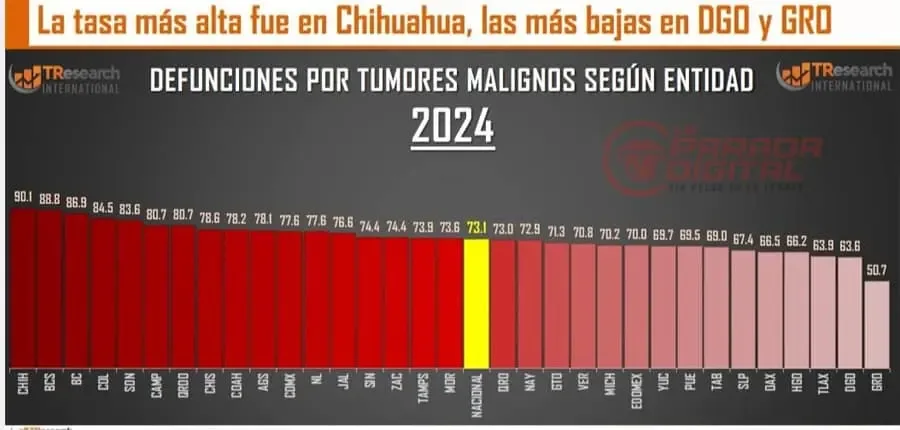 Chihuahua enfrenta una preocupante crisis de salud por cáncer en 2024.