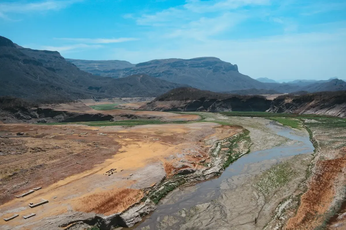 El Estado participa en el Congreso ICLE para promover el financiamiento verde y crear impacto climático positivo.