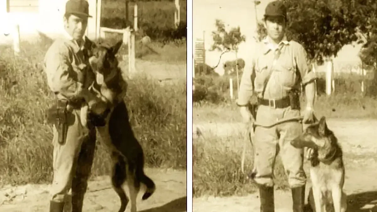 El sacrificio de Chonino en 1983 da origen al Día Nacional del Perro en Argentina.