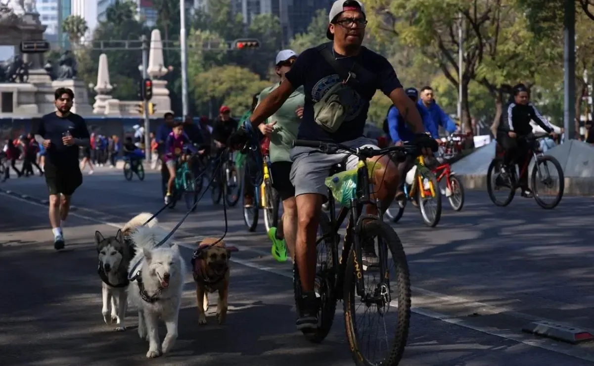 Ciclistas disfrutando del Paseo Dominical Muévete en Bici en la Ciudad de México.