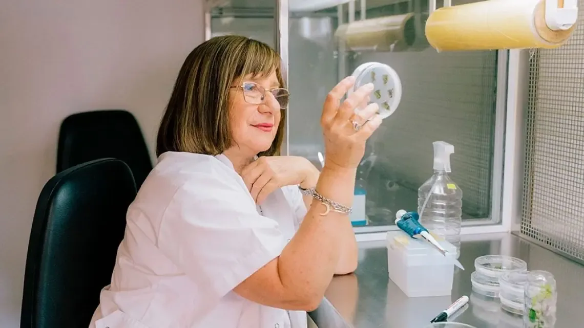 Raquel Chan es reconocida por su innovador trabajo en cultivos resistentes a la sequía, vital para la agricultura.