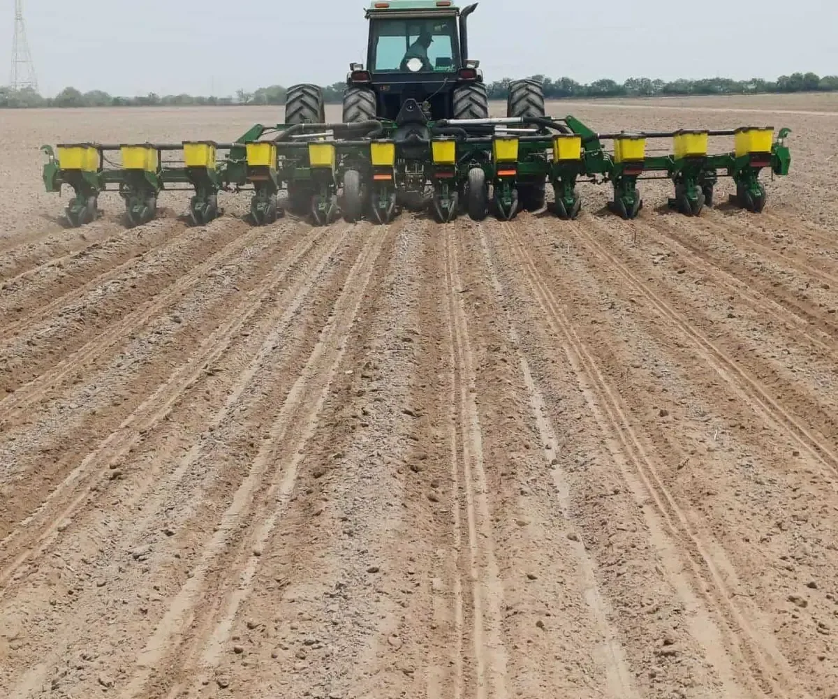 La crisis agrícola por precios elevados y financiamiento insuficiente afecta a miles de productores.