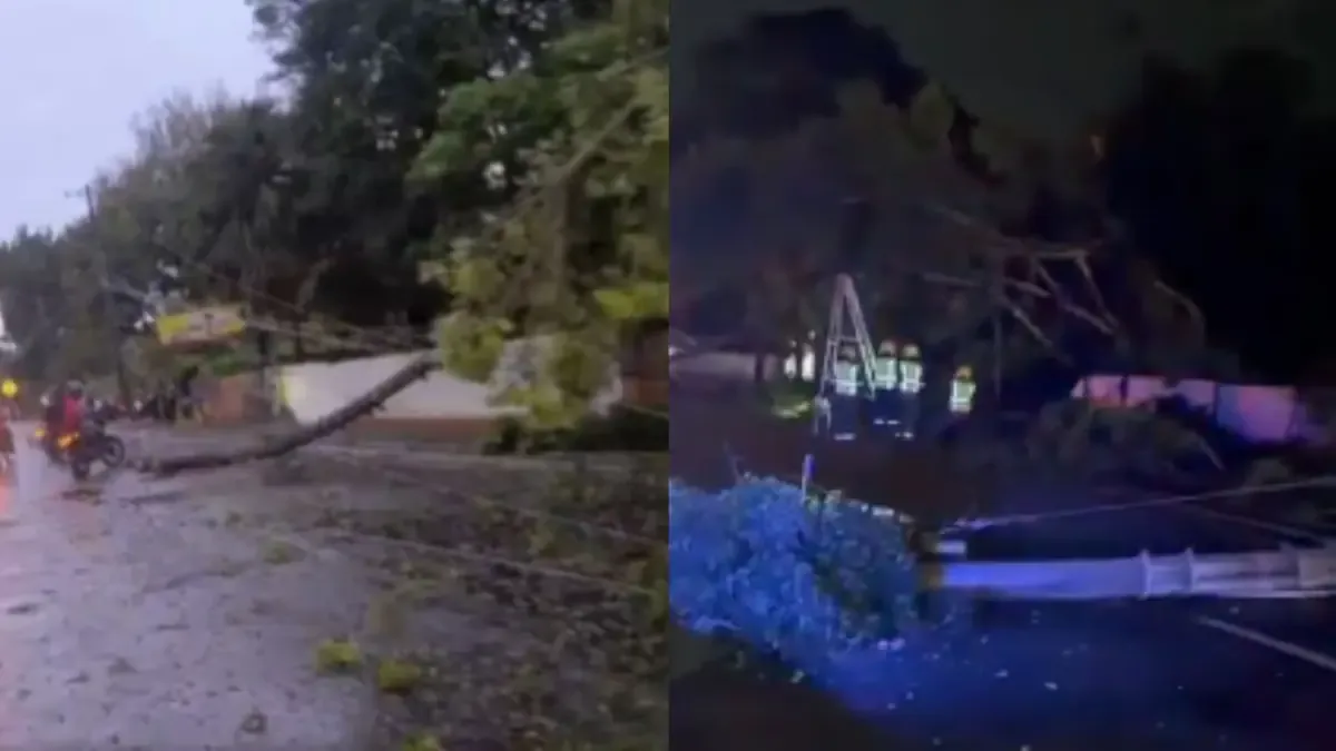 La caída de varios postes impacta el tráfico y la movilidad en Cali tras fuertes lluvias.