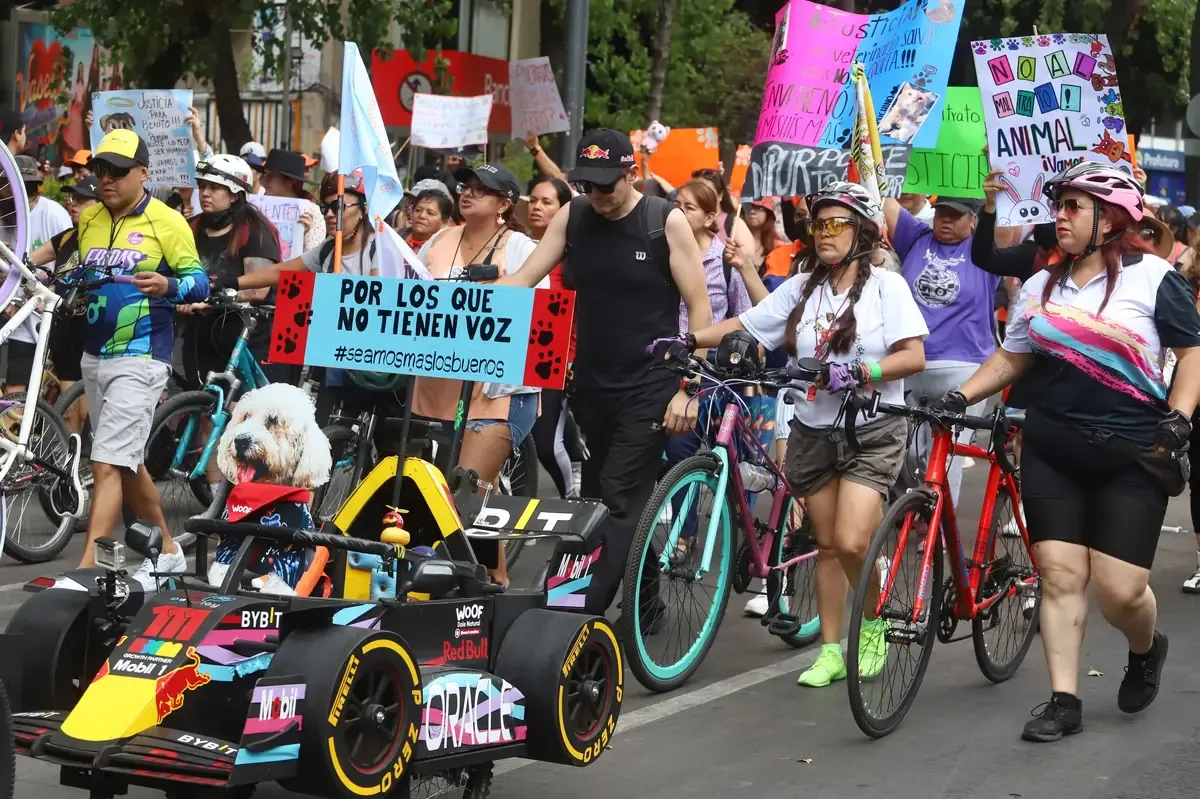 Activistas marchan en defensa de las mascotas y solicitan leyes más estrictas contra el maltrato animal.
