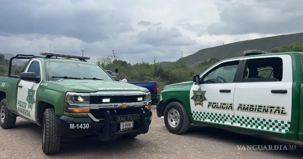 La acción municipal busca mantener la limpieza y prevenir riesgos ambientales en espacios públicos.