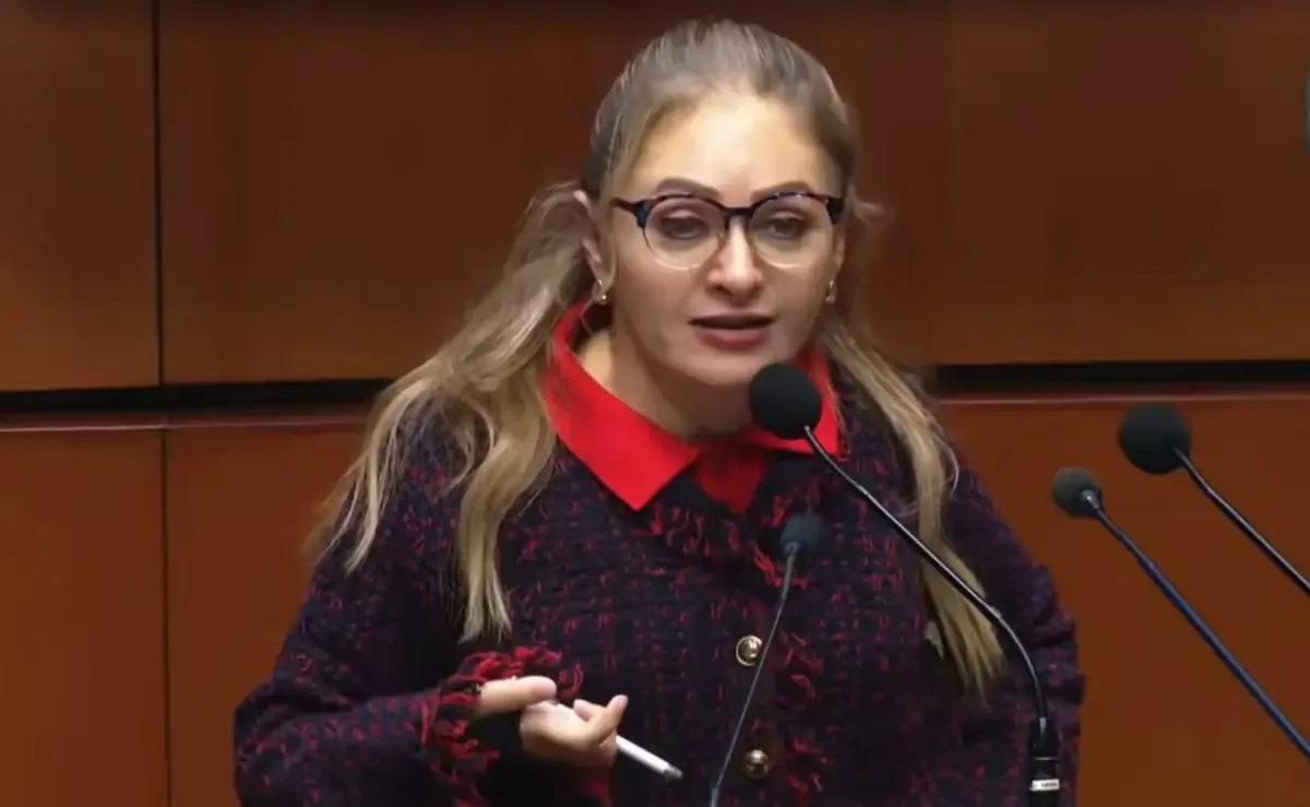 La senadora del PRI, Claudia Anaya, advierte sobre la implementación de la nueva Ley y su viabilidad.