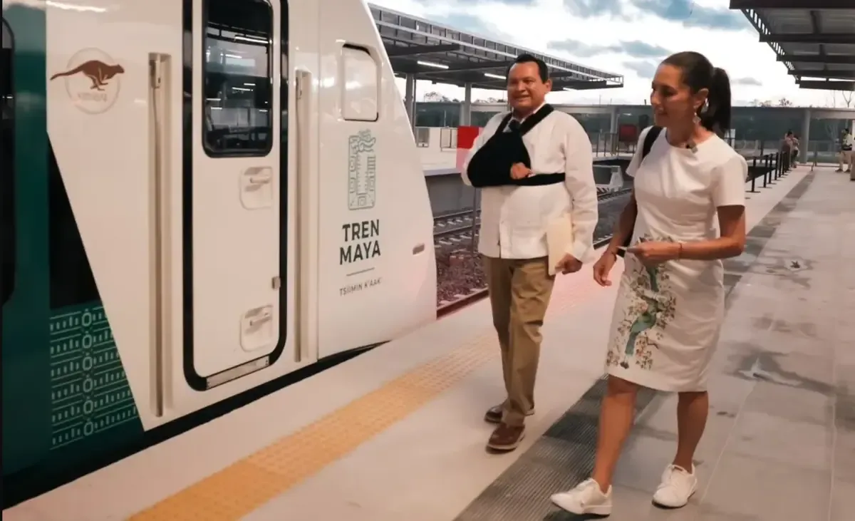La presidenta asegura que la sustitución no afecta la operación del proyecto.