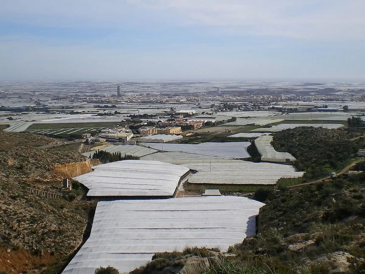 Se esperan temperaturas altas y cielos despejados en El Ejido para el fin de semana.