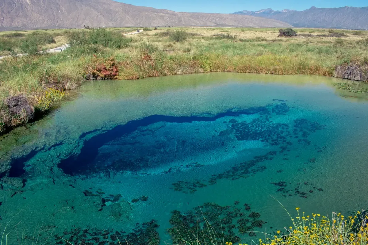 La destacada actuación de Matías Grande resalta la fortaleza del tiro con arco en Coahuila.
