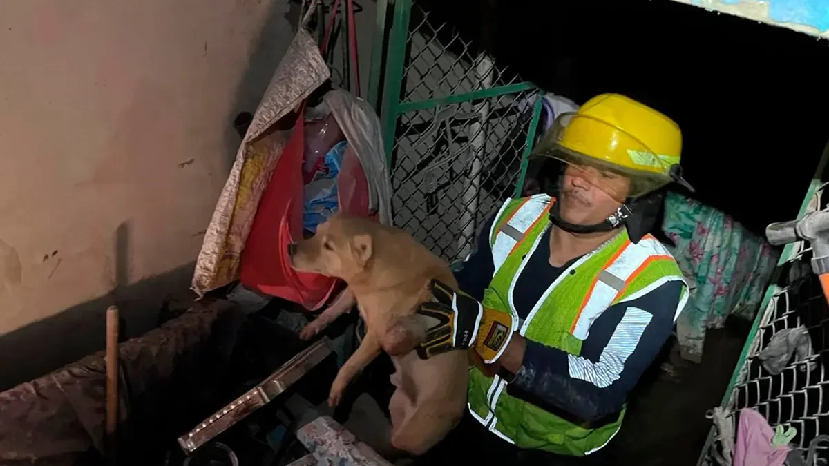 Una familia quedó atrapada tras el colapso del techo, pero ninguna persona resultó herida.