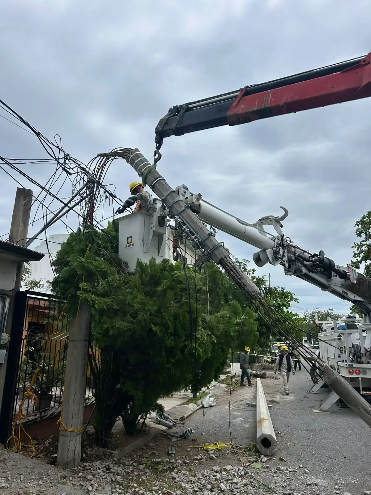 El Frente Frío número 2 causa interrupciones en el servicio de luz y pone en alerta a las autoridades.