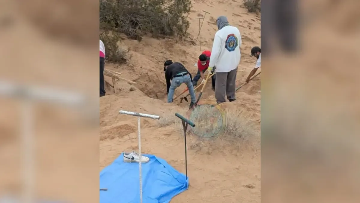 El hallazgo se dio tras una llamada anónima que alertó sobre la situación.