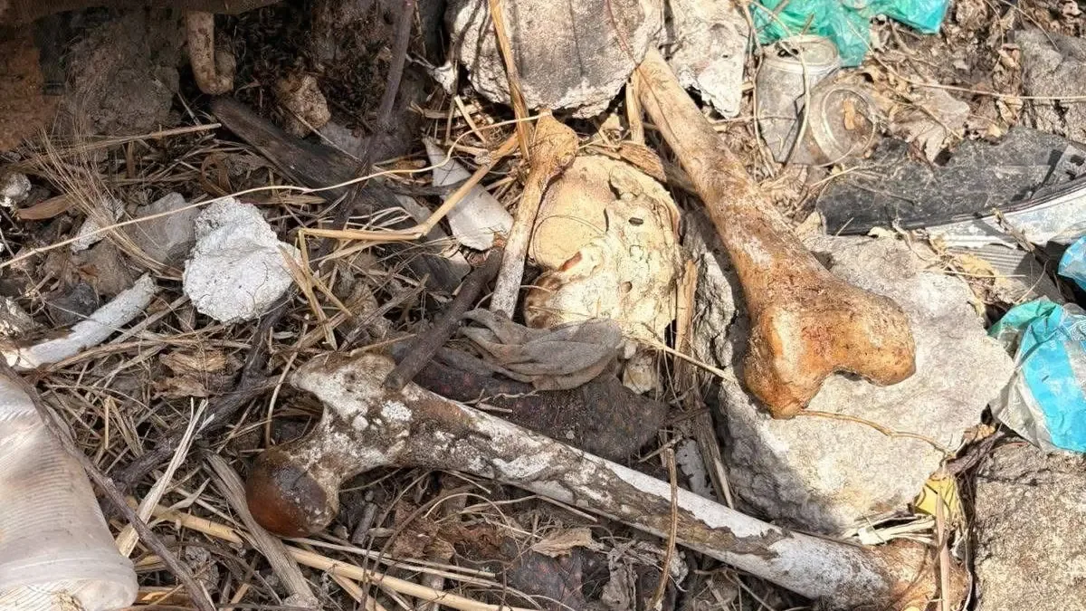 La localización se dio tras avisos anónimos sobre posibles osamentas en la zona.