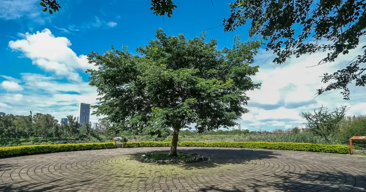 Este bosque urbano es un espacio multifuncional que fomenta la convivencia y cuidado del medio ambiente en la comunidad.
