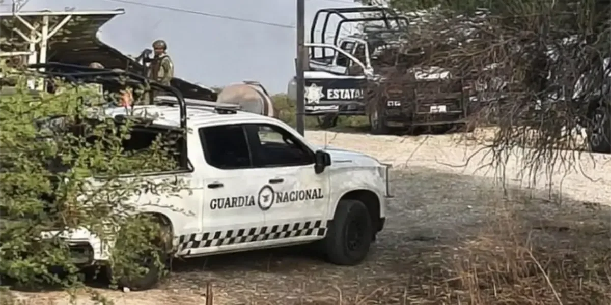 Un ataque violento en un rancho sugiere un conflicto familiar detrás de la masacre.