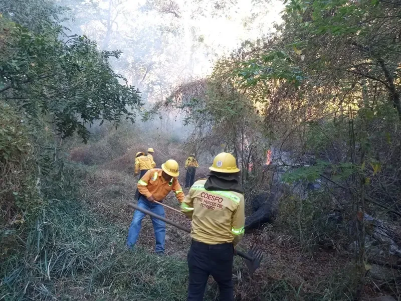 Combate a incendios en el Istmo de Oaxaca por parte del gobierno estatal.