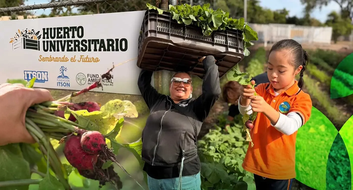 Comedor solidario de ITSON brindará apoyo alimentario a estudiantes vulnerables.