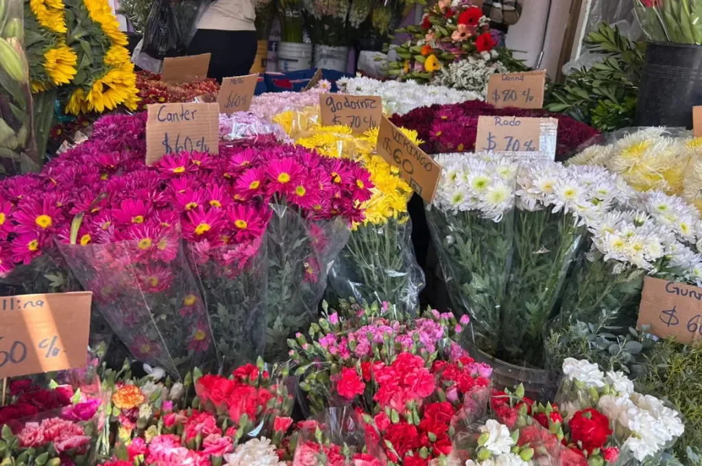 Comerciantes pronostican un notable aumento en el costo de flores este 14 de febrero.