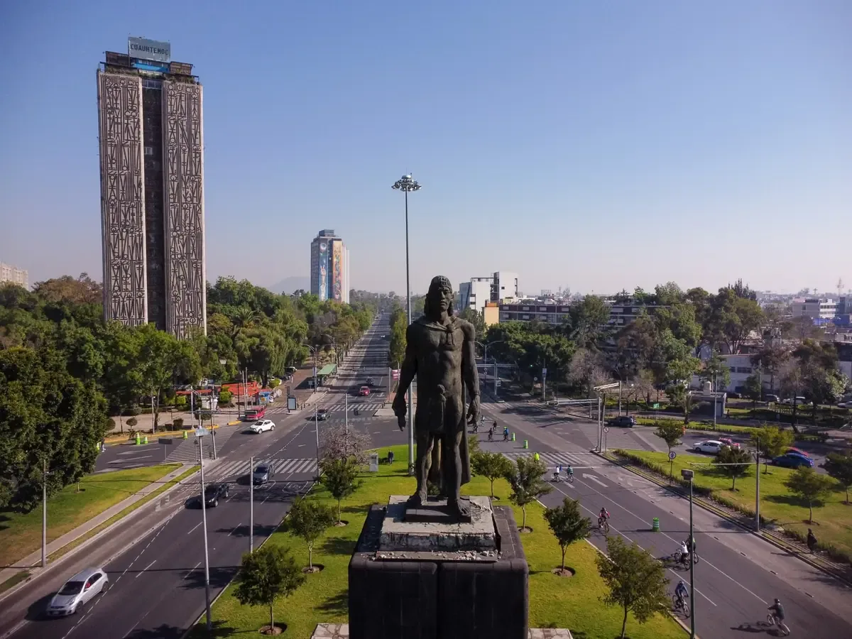 Más de 600 árboles serán retirados en Morelia, pero se sembrarán nuevos ejemplares como compensación.