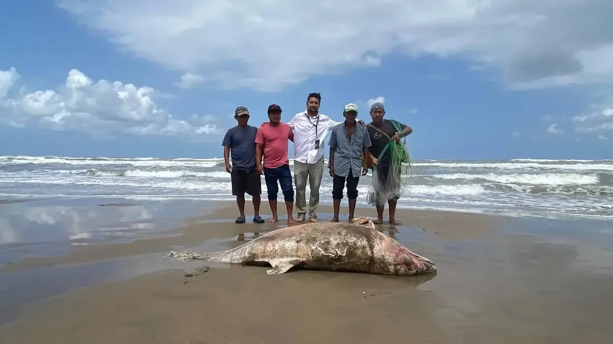 Comunidades y expertos alertan sobre el estado del ecosistema marino tras hallazgos recientes.