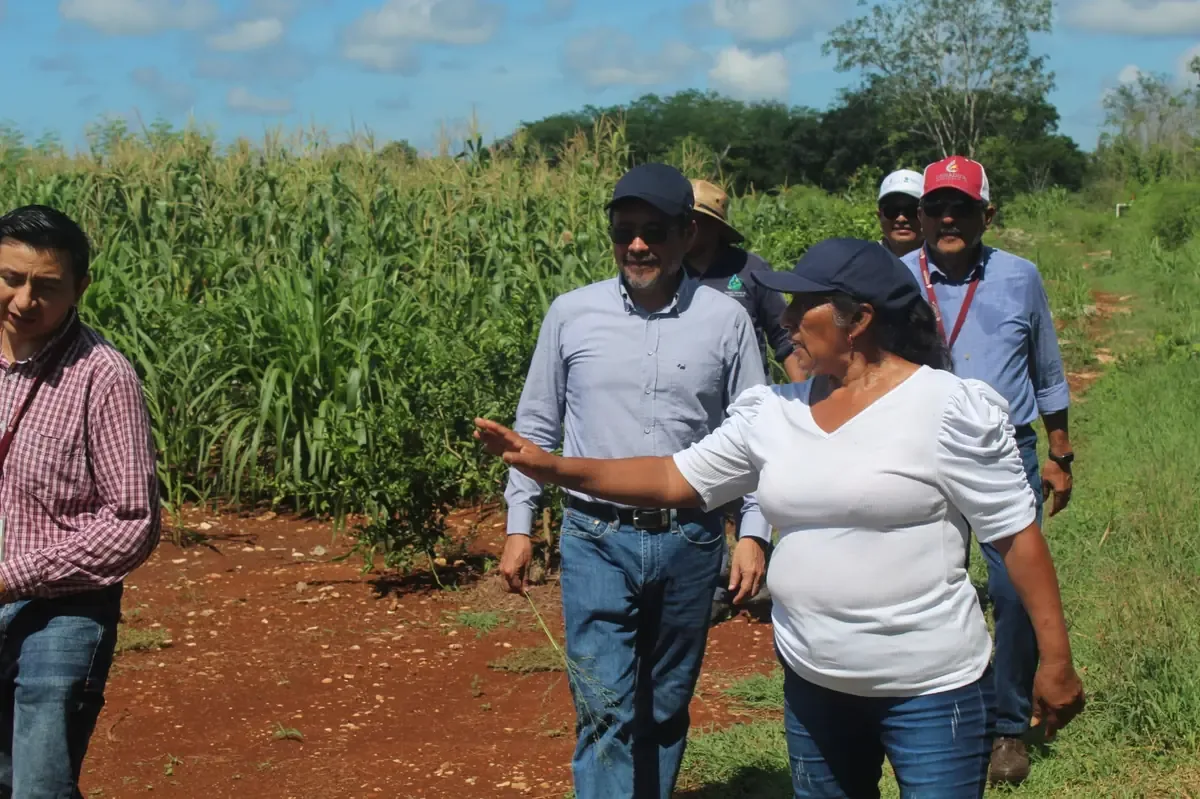 La modernización del riego busca mejorar la producción agrícola y asegurar la soberanía alimentaria en Yucatán.