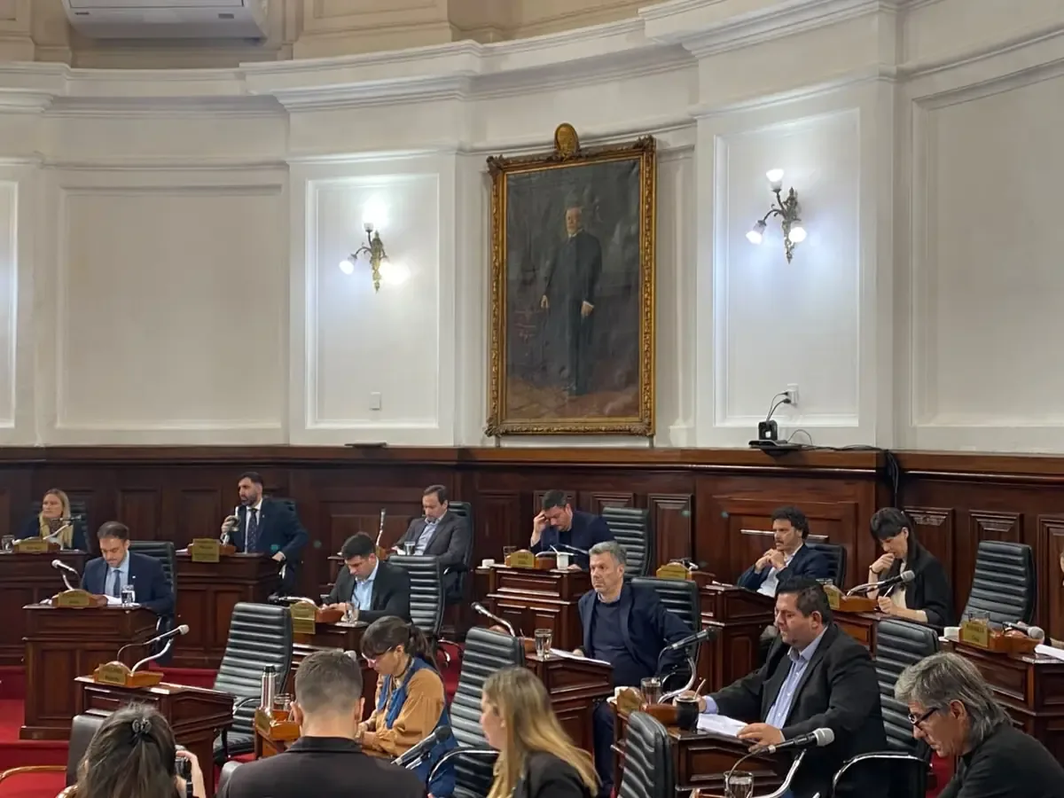 El Concejo aprobó iniciativas sobre taxis y creó un registro para entidades comunitarias.