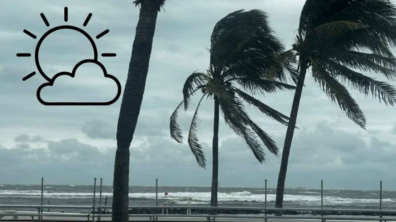 Condiciones frías y ventosas en Veracruz, 27 de enero.