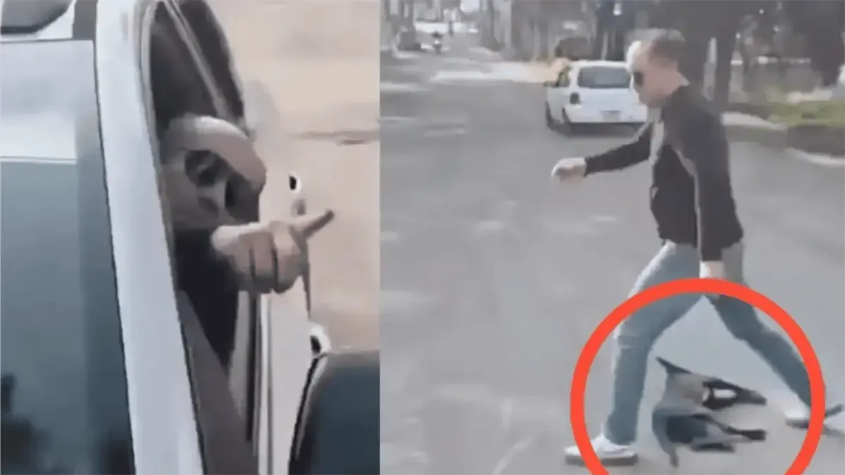 Video muestra el maltrato a un perro, generando una fuerte indignación en las redes sociales.