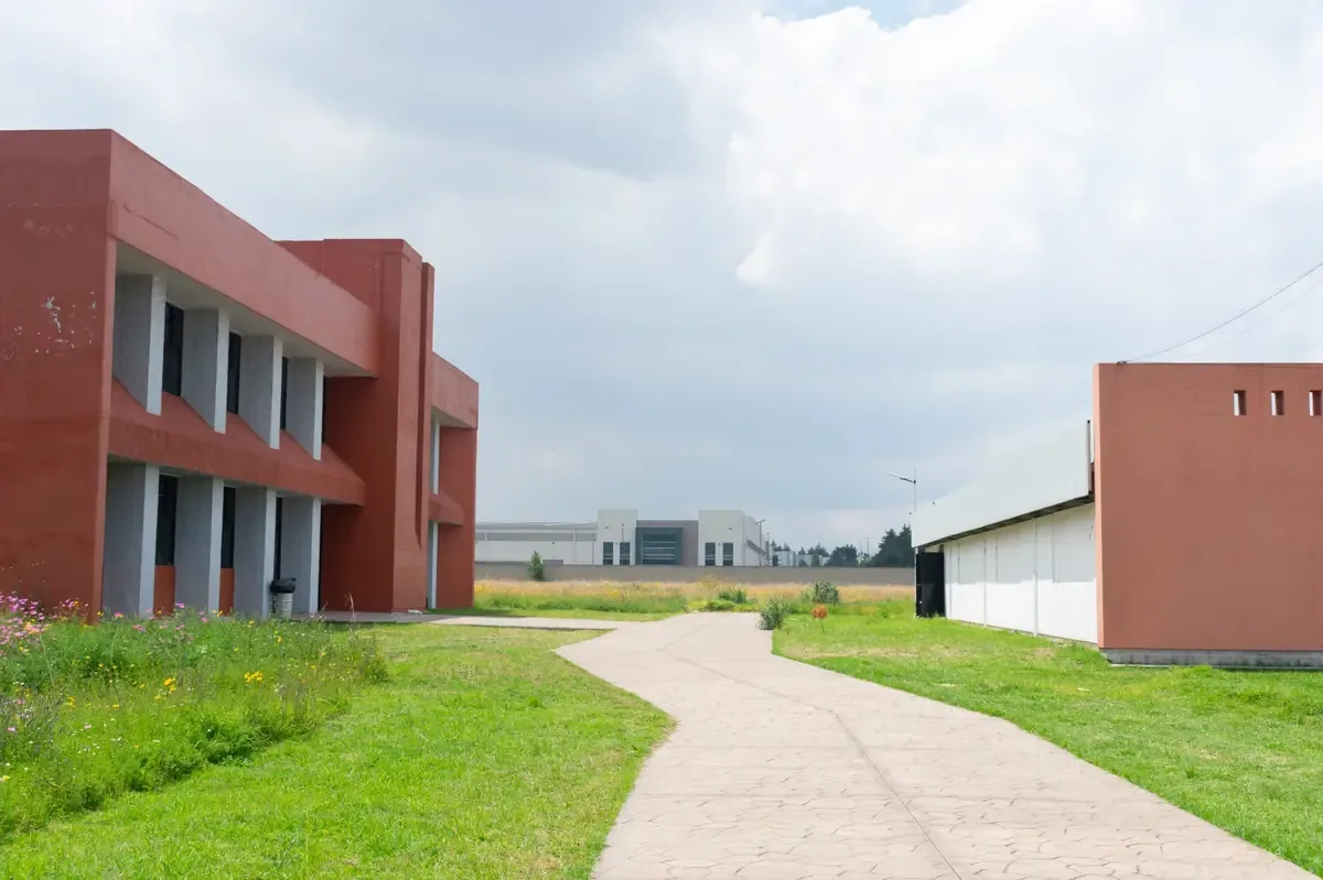 La Secretaría de Salud asegura que los casos de ciclosporiasis no indican un brote activo en el país.
