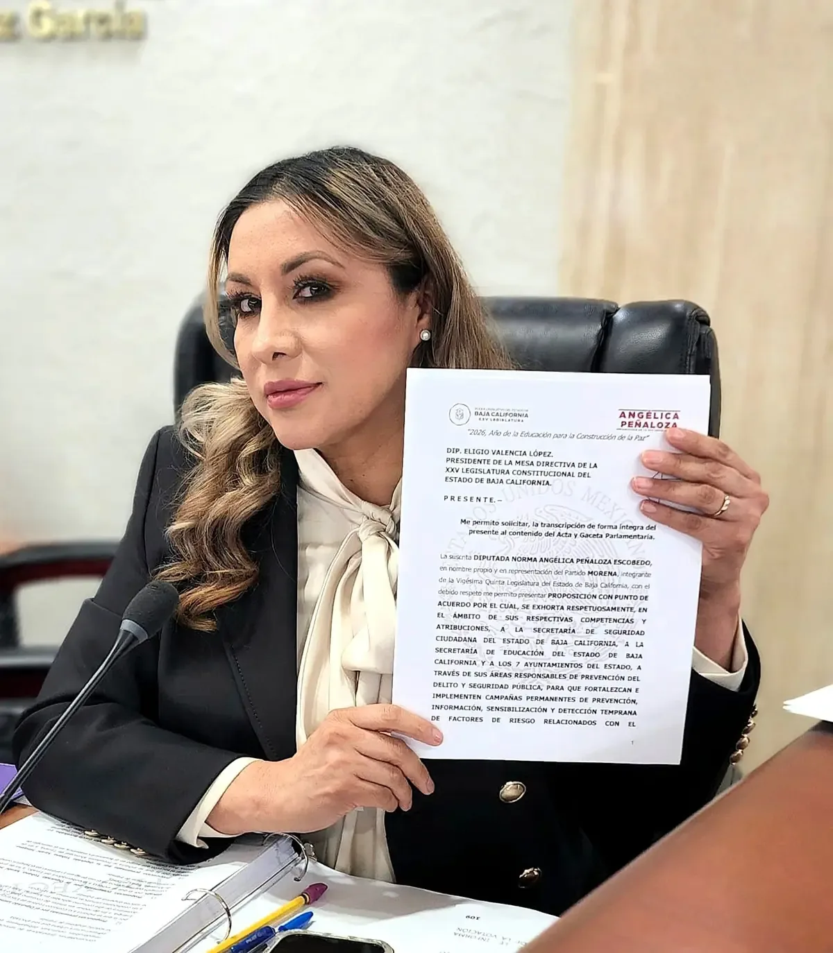 La reforma busca modernizar el lenguaje legal hacia un enfoque inclusivo y equitativo.