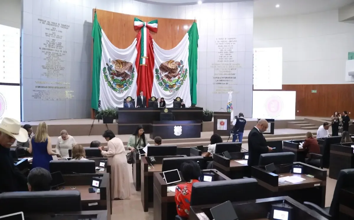 Las reformas discutidas levantan críticas sobre la diversidad y transparencia en el proceso electoral.
