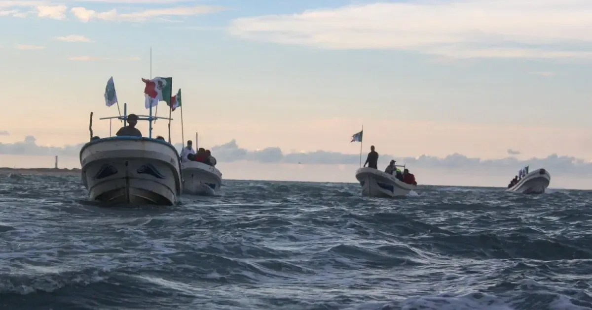 La organización busca visibilizar el daño ambiental por pruebas de Starship.
