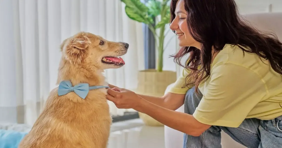La UNAM impulsa la adopción responsable para reducir el abandono de mascotas.