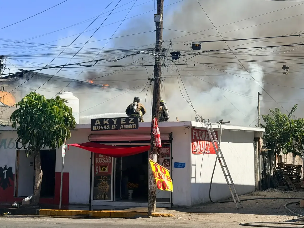 Las autoridades recomiendan evitar la zona mientras bomberos finalizan su trabajo.