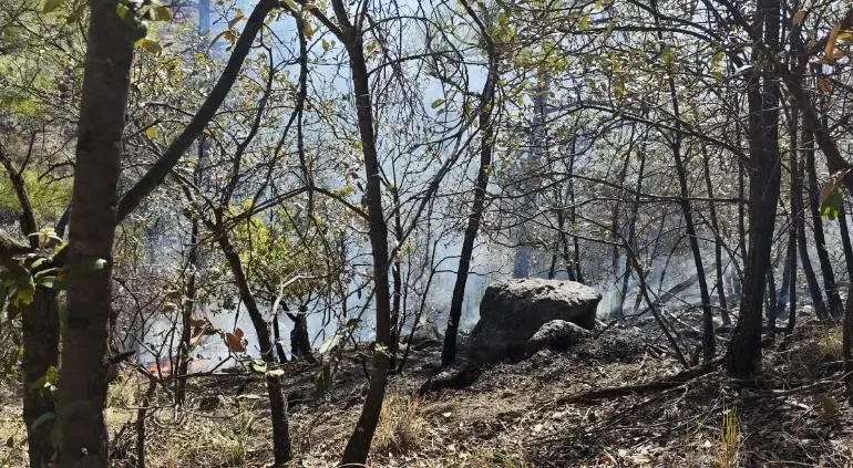 Se extingue un gran incendio que afectó más de 560 hectáreas en Buenaventura, pero cinco siniestros aún desafían a brigadistas en la región.