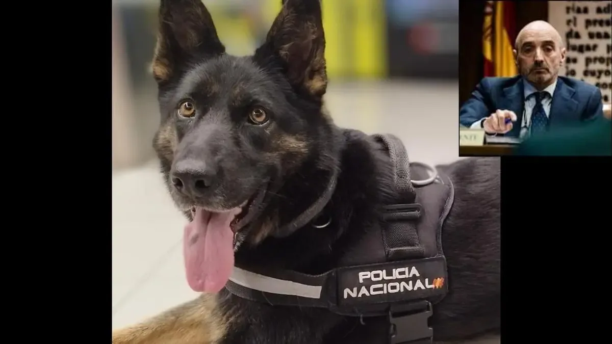 La agente K-9 destacó en la operación contra la corrupción en España.