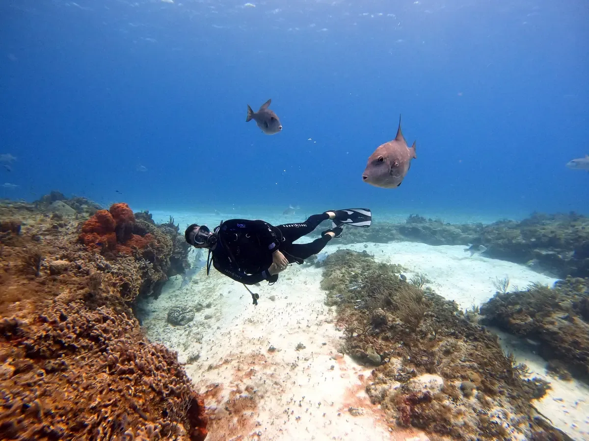El evento abordará capacitación y conservación de arrecifes en la industria del buceo.