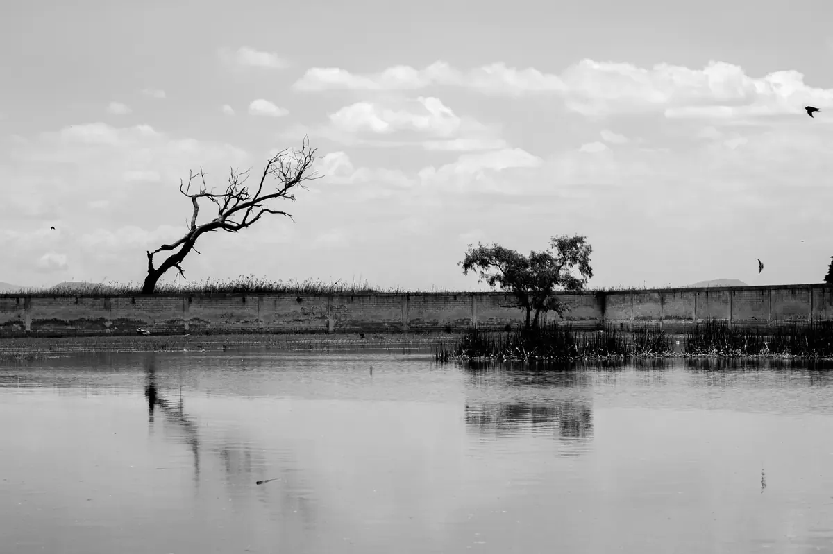 El aumento en el caudal del río afecta el abastecimiento de agua en el municipio, dejando a miles en crisis.